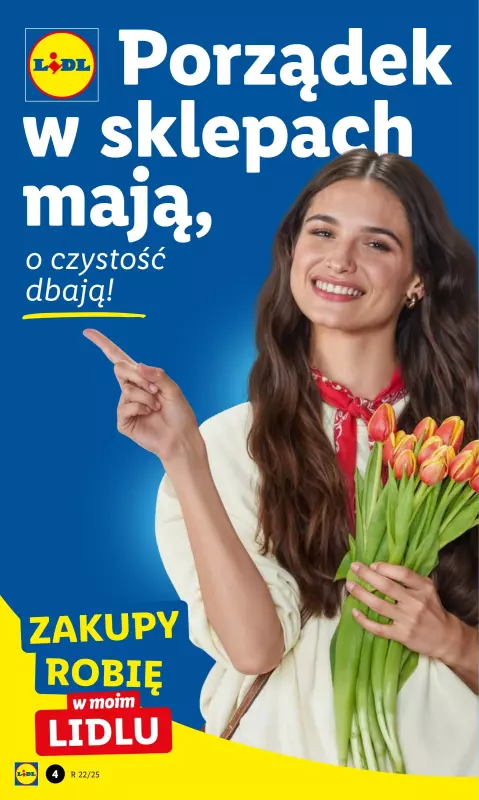 Lidl - gazetka promocyjna Katalog   - strona 2