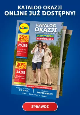 Lidl - gazetka promocyjna Katalog online już dostępny! od poniedziałku 19.05 do środy 21.05