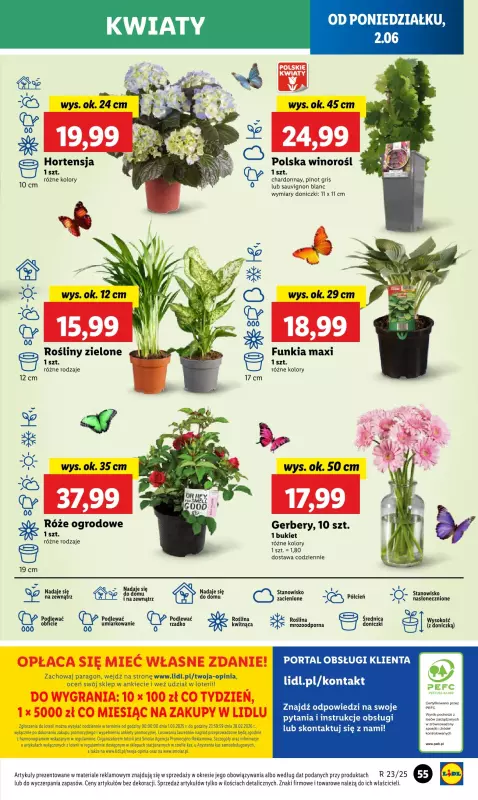 Lidl - gazetka promocyjna Oferta od poniedziałku od poniedziałku 02.06 do środy 04.06 - strona 63