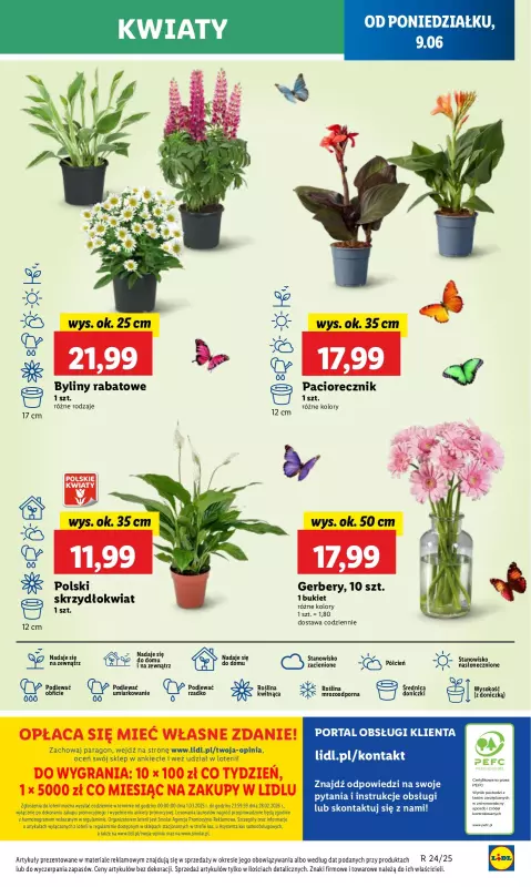 Lidl - gazetka promocyjna Oferta od poniedziałku od poniedziałku 09.06 do środy 11.06 - strona 65