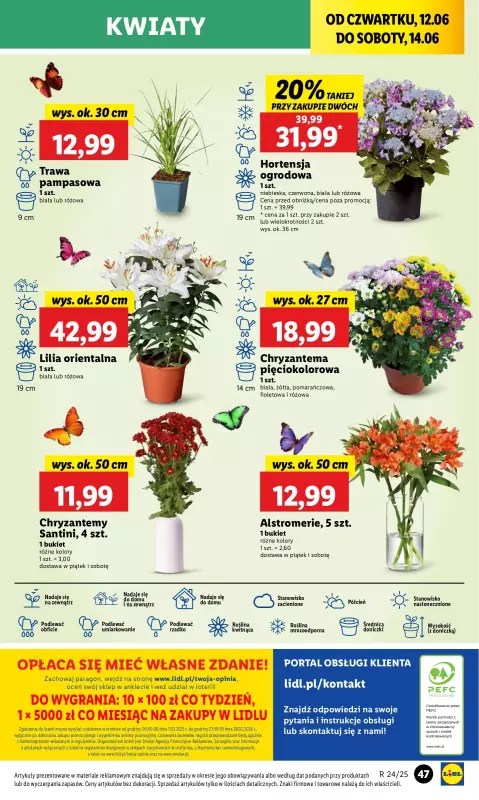 Lidl - gazetka promocyjna Oferta od czwartku od czwartku 12.06 do soboty 14.06 - strona 57