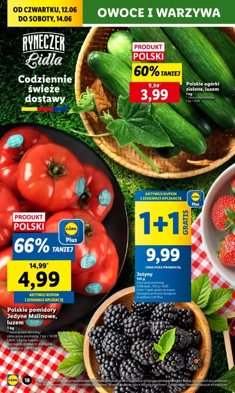 Lidl - gazetka promocyjna Oferta od czwartku od czwartku 12.06 do soboty 14.06 - strona 22