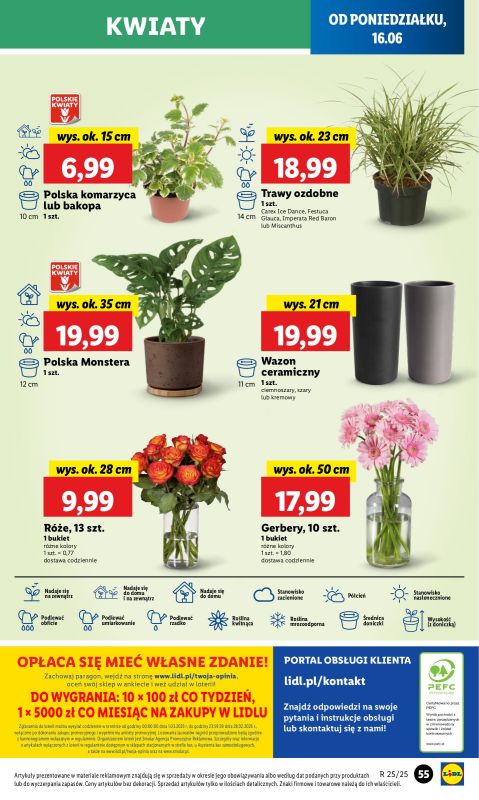 Lidl - gazetka promocyjna Oferta od poniedziałku od poniedziałku 16.06 do środy 18.06 - strona 65