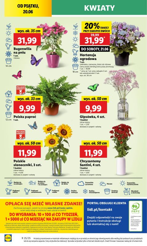Lidl - gazetka promocyjna Oferta od piątku od piątku 20.06 do soboty 21.06 - strona 50
