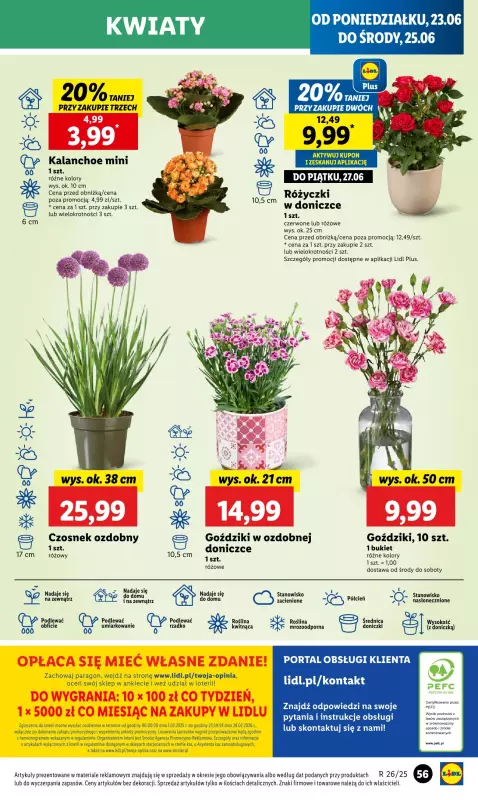 Lidl - gazetka promocyjna Oferta od poniedziałku od poniedziałku 23.06 do środy 25.06 - strona 63
