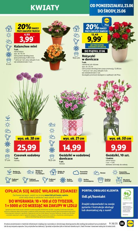 Lidl - gazetka promocyjna Oferta od poniedziałku od poniedziałku 23.06 do środy 25.06 - strona 65