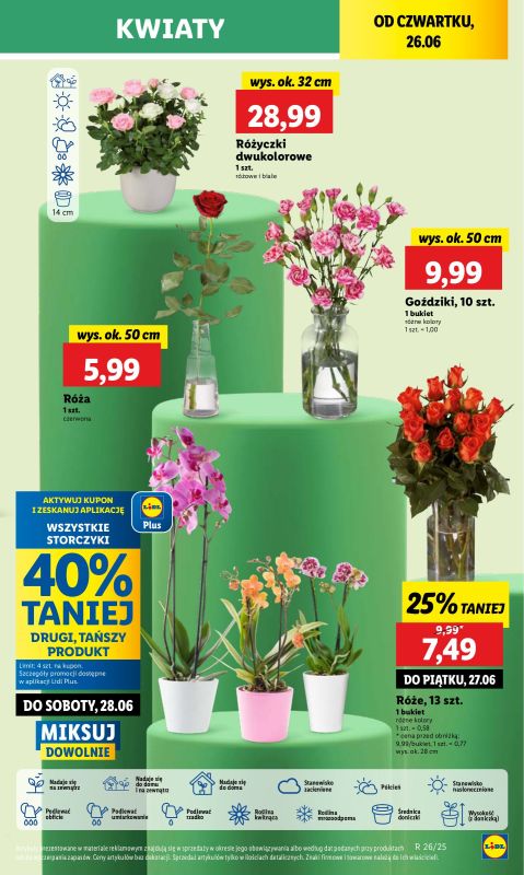 Lidl - gazetka promocyjna Oferta od czwartku od czwartku 26.06 do niedzieli 29.06 - strona 59