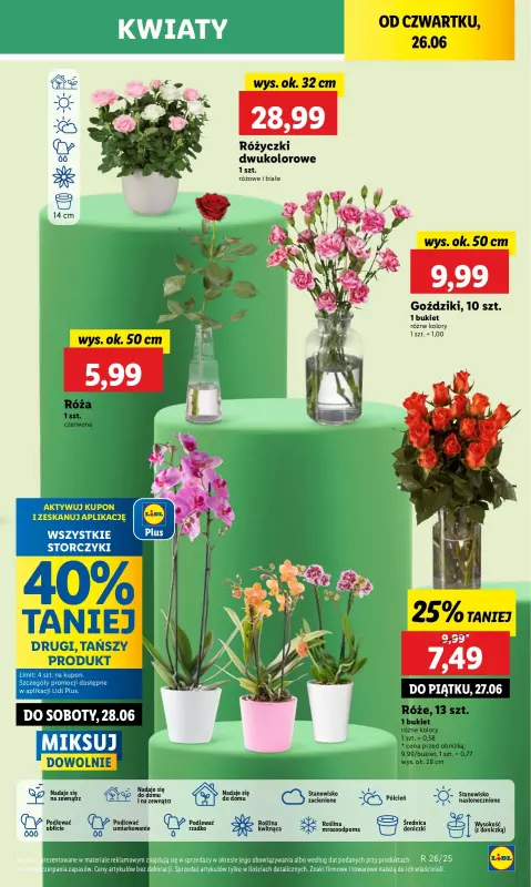 Lidl - gazetka promocyjna Oferta od czwartku od czwartku 26.06 do niedzieli 29.06 - strona 59