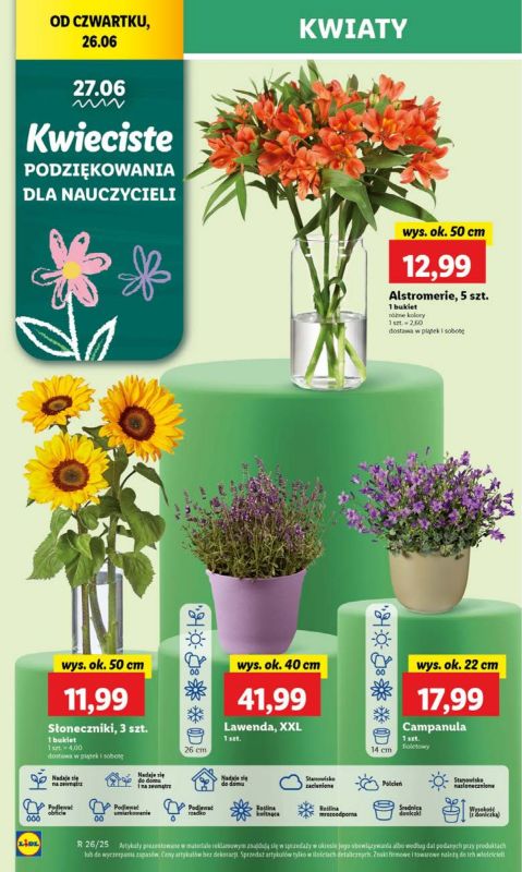 Lidl - gazetka promocyjna Oferta od czwartku od czwartku 26.06 do niedzieli 29.06 - strona 58