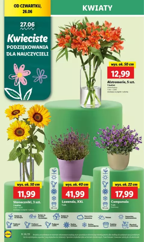 Lidl - gazetka promocyjna Oferta od czwartku od czwartku 26.06 do niedzieli 29.06 - strona 58