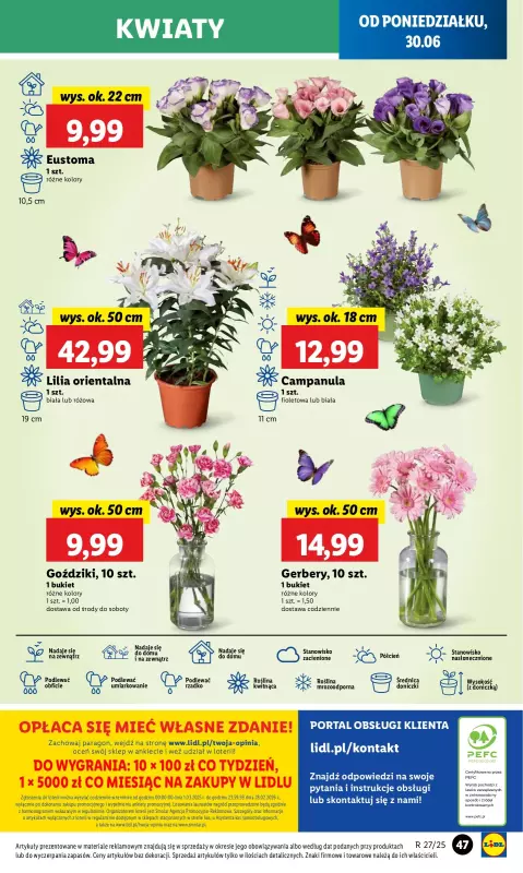 Lidl - gazetka promocyjna Oferta od poniedziałku od poniedziałku 30.06 do środy 02.07 - strona 55