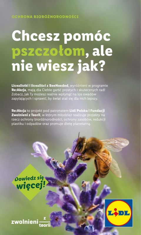 Lidl - gazetka promocyjna Katalog od poniedziałku 07.07 do soboty 12.07 - strona 43