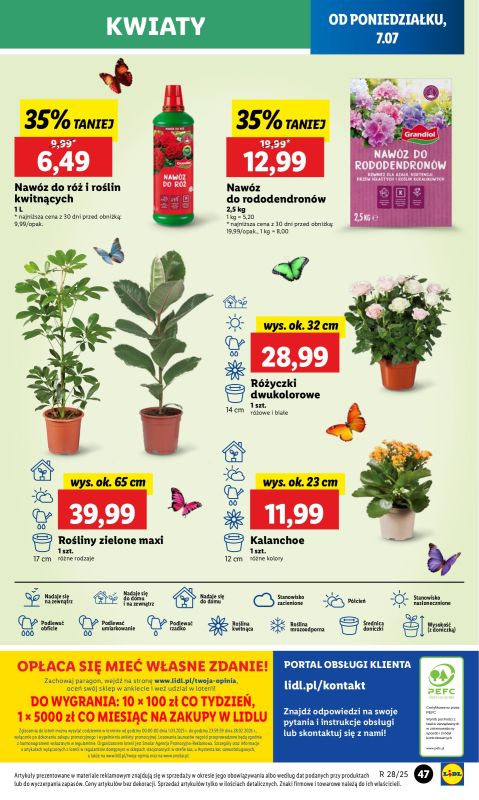 Lidl - gazetka promocyjna Oferta od poniedziałku od poniedziałku 07.07 do środy 09.07 - strona 55