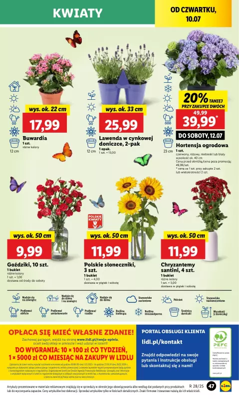 Lidl - gazetka promocyjna Oferta od czwartku od czwartku 10.07 do soboty 12.07 - strona 61