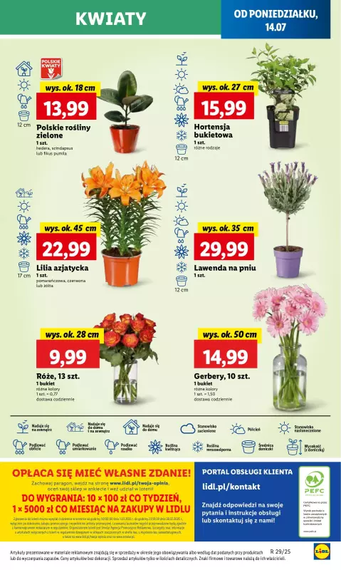 Lidl - gazetka promocyjna Oferta od poniedziałku od poniedziałku 14.07 do środy 16.07 - strona 59