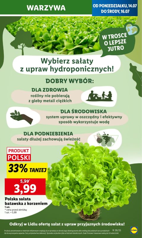 Lidl - gazetka promocyjna Oferta od poniedziałku od poniedziałku 14.07 do środy 16.07 - strona 9