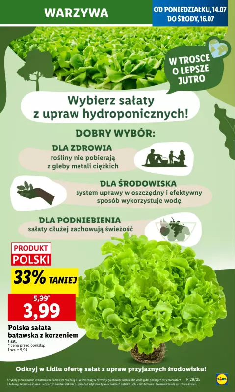 Lidl - gazetka promocyjna Oferta od poniedziałku od poniedziałku 14.07 do środy 16.07 - strona 9