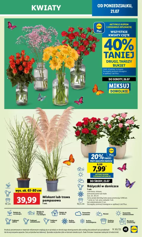 Lidl - gazetka promocyjna Oferta od poniedziałku od poniedziałku 21.07 do środy 23.07 - strona 51