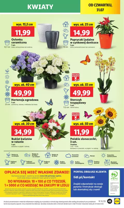 Lidl - gazetka promocyjna Oferta od czwartku od czwartku 31.07 do soboty 02.08 - strona 53