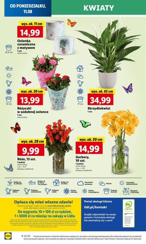 Lidl - gazetka promocyjna Oferta od poniedziałku od poniedziałku 11.08 do wtorku 12.08 - strona 62