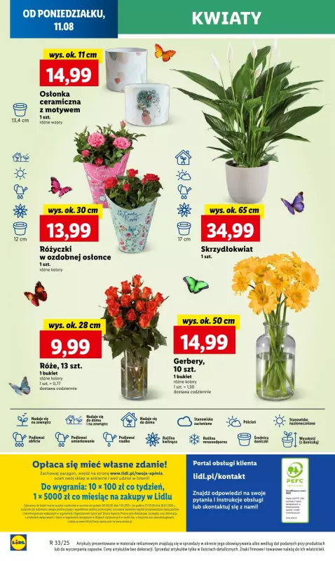 Lidl - gazetka promocyjna Oferta od poniedziałku od poniedziałku 11.08 do wtorku 12.08 - strona 62