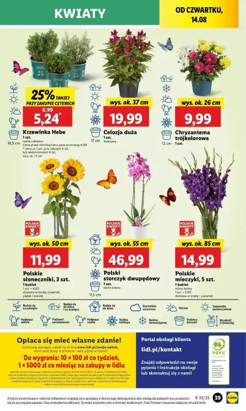 Lidl - gazetka promocyjna Oferta od środy od środy 13.08 do soboty 16.08 - strona 41