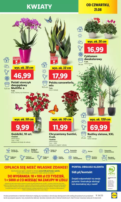 Lidl - gazetka promocyjna Oferta od czwartku od czwartku 21.08 do soboty 23.08 - strona 49