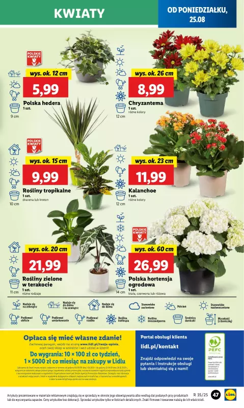 Lidl - gazetka promocyjna Oferta od poniedziałku od poniedziałku 25.08 do środy 27.08 - strona 53