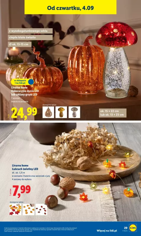 Lidl - gazetka promocyjna Katalog od poniedziałku 01.09 do soboty 06.09 - strona 31