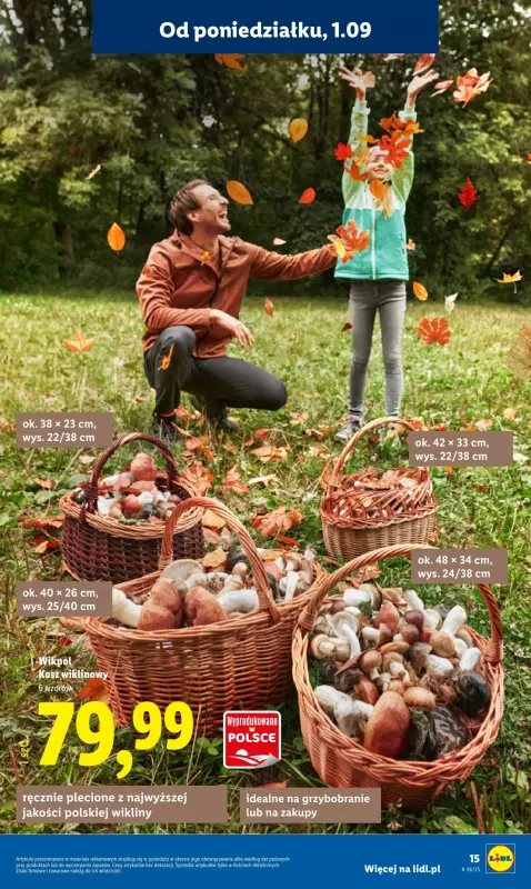 Lidl - gazetka promocyjna Katalog od poniedziałku 01.09 do soboty 06.09 - strona 17
