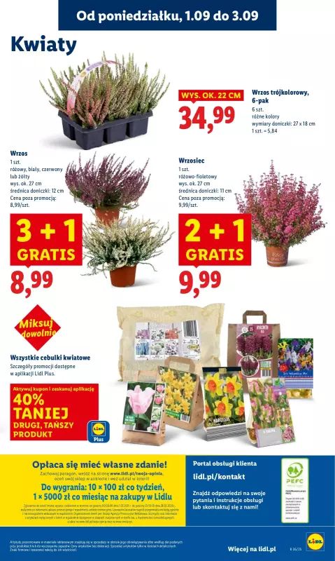 Lidl - gazetka promocyjna Oferta od poniedziałku od poniedziałku 01.09 do środy 03.09 - strona 57