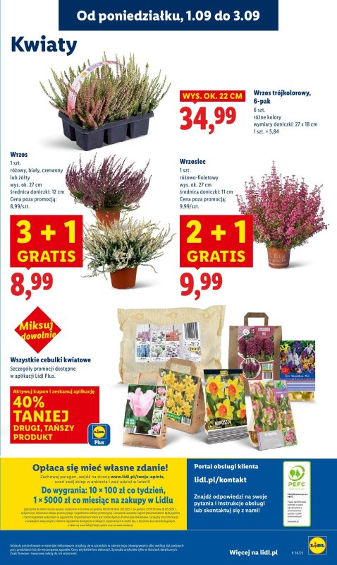 Lidl - gazetka promocyjna Oferta od poniedziałku od poniedziałku 01.09 do środy 03.09 - strona 57