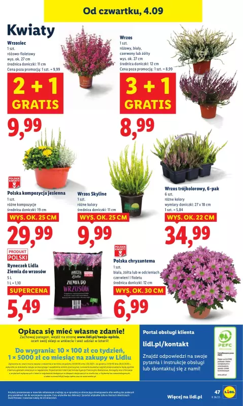 Lidl - gazetka promocyjna Oferta od czwartku od czwartku 04.09 do soboty 06.09 - strona 56