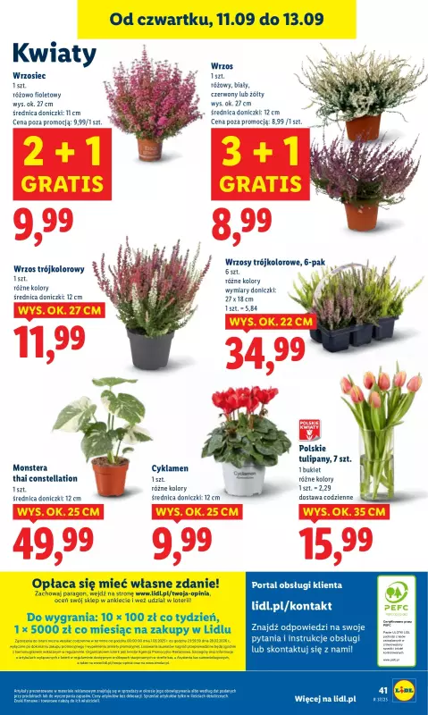 Lidl - gazetka promocyjna Oferta od czwartku od czwartku 11.09 do soboty 13.09 - strona 47