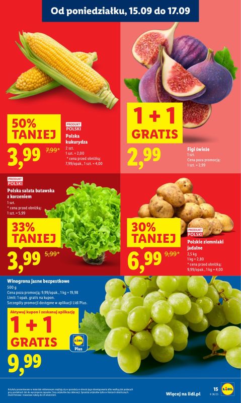Lidl - gazetka promocyjna Oferta od poniedziałku od poniedziałku 15.09 do środy 17.09 - strona 17