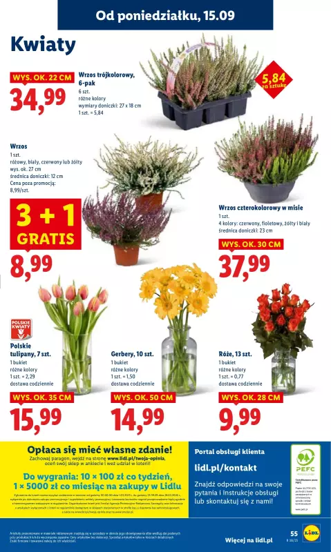 Lidl - gazetka promocyjna Oferta od poniedziałku od poniedziałku 15.09 do środy 17.09 - strona 61
