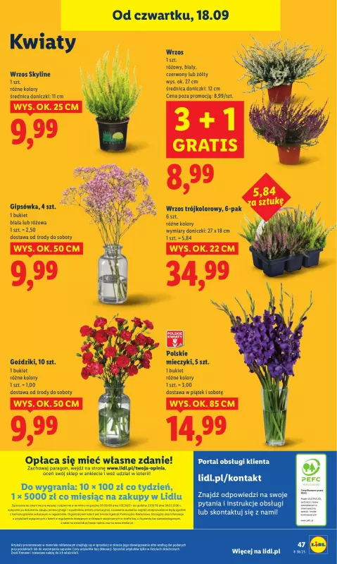 Lidl - gazetka promocyjna Oferta od czwartku od czwartku 18.09 do soboty 20.09 - strona 55