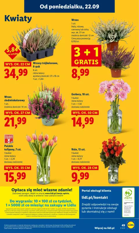 Lidl - gazetka promocyjna Oferta od poniedziałku od poniedziałku 22.09 do środy 24.09 - strona 62