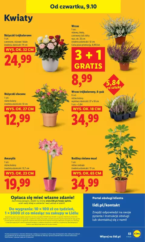 Lidl - gazetka promocyjna Oferta od czwartku od czwartku 09.10 do soboty 11.10 - strona 59