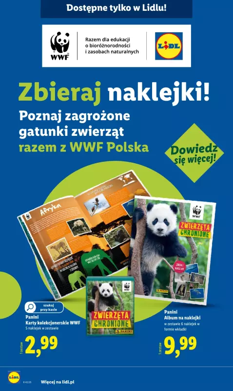 Lidl - gazetka promocyjna Katalog od 13.10 od poniedziałku 13.10 do soboty 18.10 - strona 62