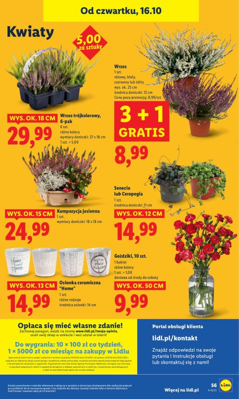 Lidl - gazetka promocyjna Oferta od czwartku od czwartku 16.10 do soboty 18.10 - strona 60