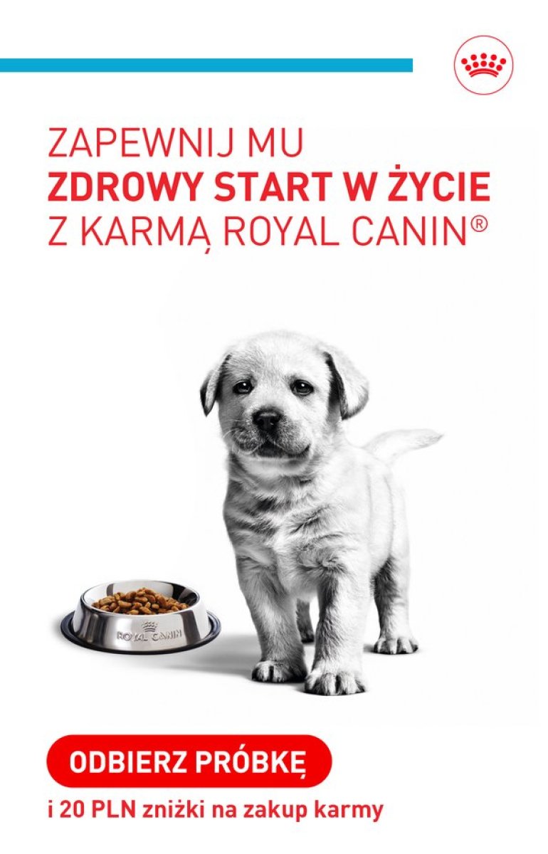 Royal Canin - Odbierz darmową próbkę i 20 PLN zniżki na karmę dla ...