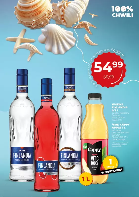 Duży Ben - gazetka promocyjna Gazetka alkoholowa od środy 16.07 do wtorku 12.08 - strona 41