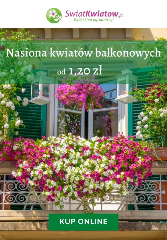 Świat Kwiatów - gazetka promocyjna Od 1,20 rośliny balkonowe od wtorku 27.04 do wtorku 04.05