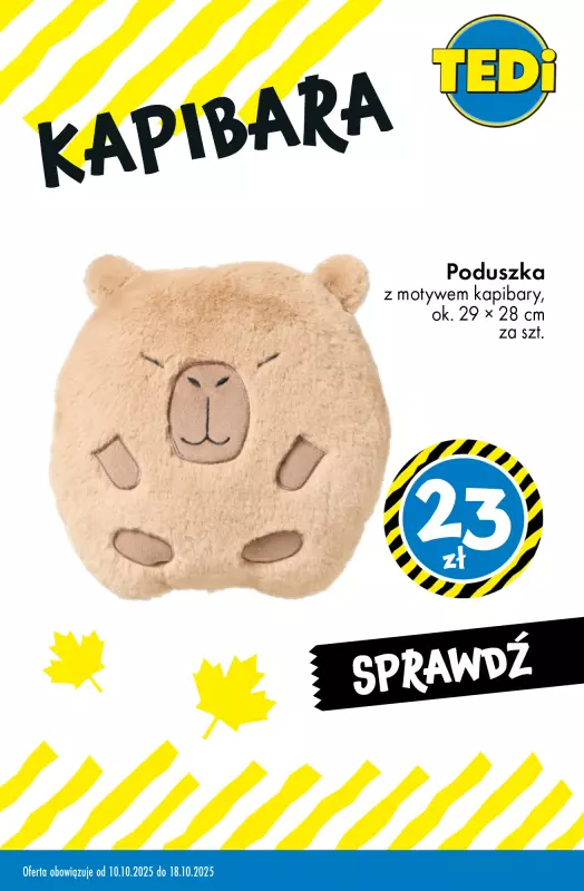 Tedi - gazetka promocyjna KAPIBARA - od teraz w Tedi   - strona 3