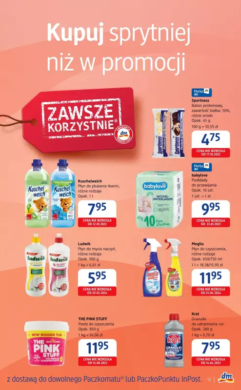 Drogerie DM - gazetka promocyjna Piękne włosy każdego dnia od czwartku 24.10 do środy 06.11 - strona 13