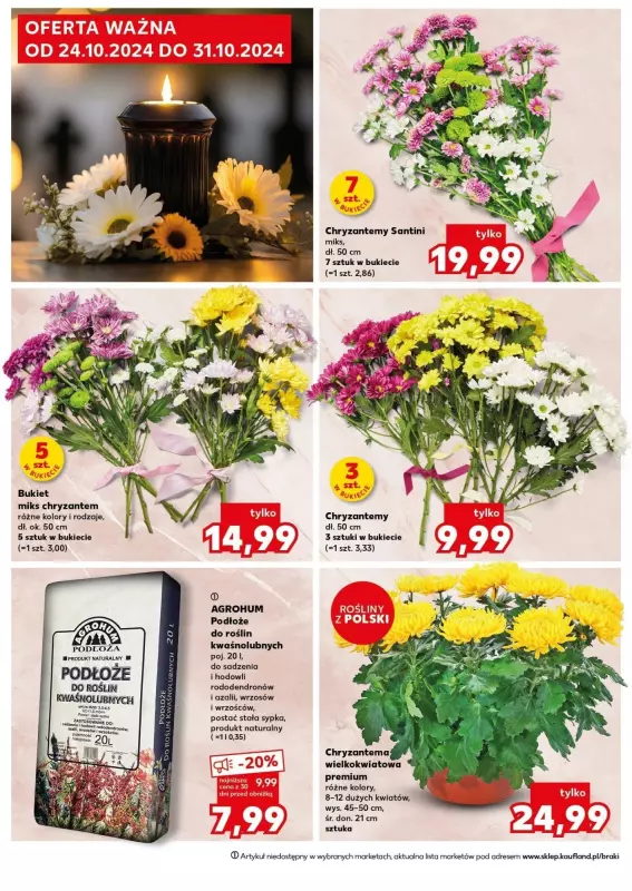 #ZNICZE - gazetka promocyjna Kaufland | Oferta Znicze  do soboty 02.11 - strona 10