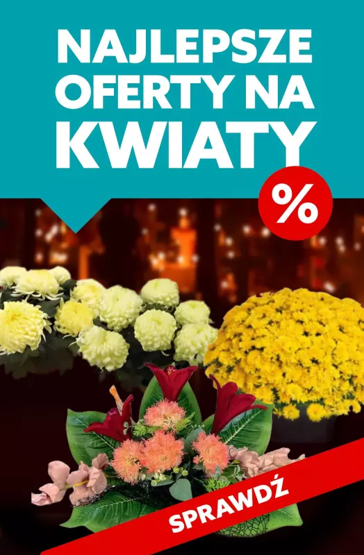 #ZNICZE - gazetka promocyjna Najlepsze oferty na kwiaty na Wszystkich Świętych od czwartku 31.10 do soboty 02.11