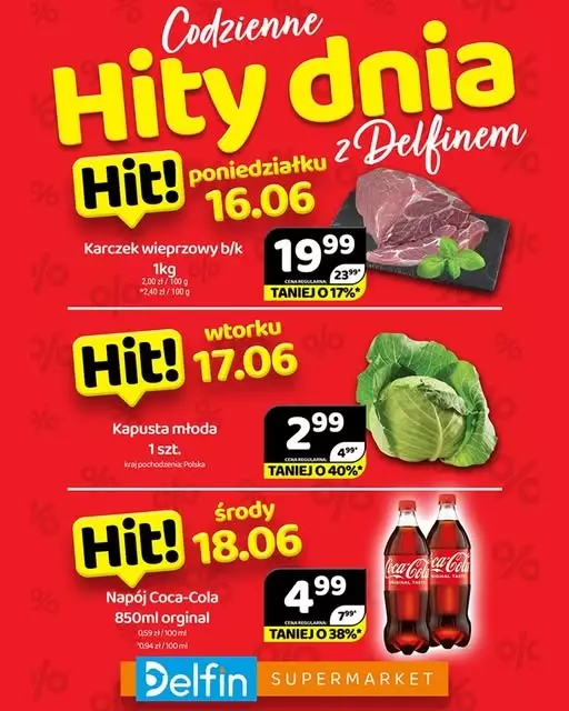 Delfin - gazetka promocyjna Codzienne hity dnia od poniedziałku 16.06 do środy 18.06