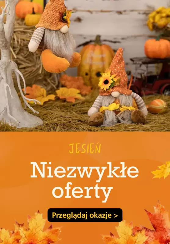 Temu - gazetka promocyjna Niezwykłe oferty! od wtorku 03.09 do poniedziałku 09.09